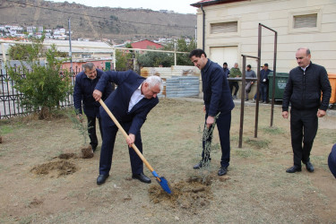 Səbail rayonunda "Yaşıl dünya naminə həmrəylik ili" çərçivəsində növbəti ağacəkmə aksiyası